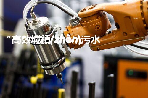 “高效城鎮(zhèn)污水處理流程，守護(hù)碧水藍(lán)天新篇章”